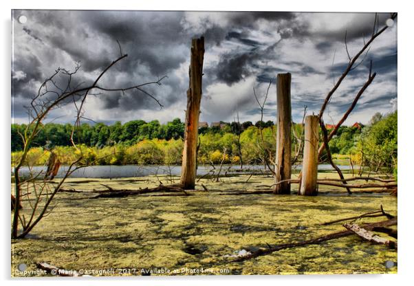 Dead tree Lake  Acrylic by Marie Castagnoli