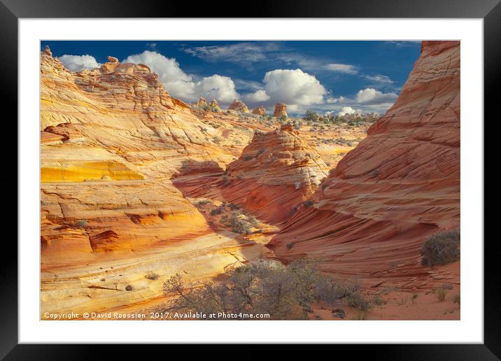 Sandstone Wash, Coyote Buttes, Southern Utah, USA Framed Mounted Print by David Roossien