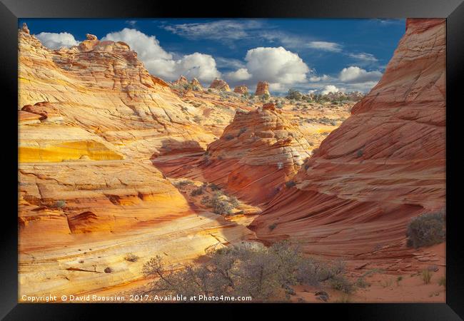Sandstone Wash, Coyote Buttes, Southern Utah, USA Framed Print by David Roossien
