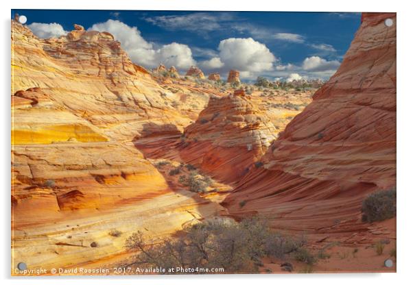 Sandstone Wash, Coyote Buttes, Southern Utah, USA Acrylic by David Roossien