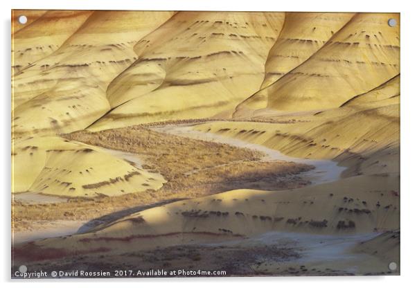 Sunlit Valley, Painted Hills, Oregon, USA Acrylic by David Roossien