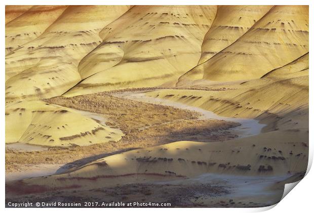 Sunlit Valley, Painted Hills, Oregon, USA Print by David Roossien