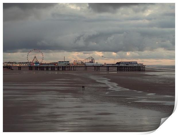 Central Pier,Blackpool                    Print by Victor Burnside