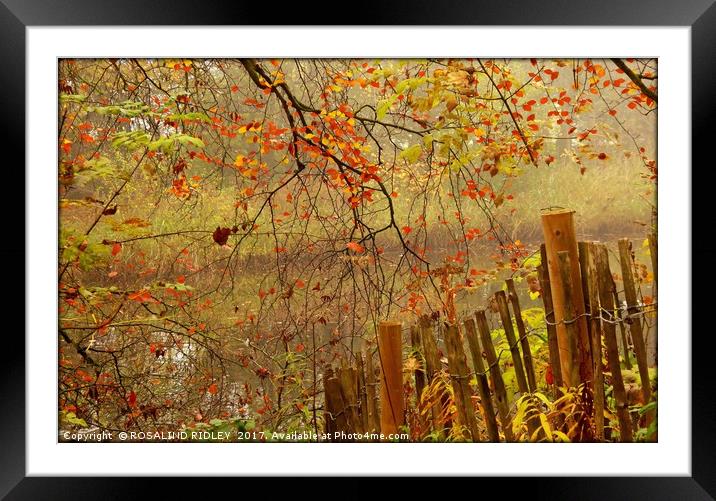 "AUTUMN MISTS AT THE RIVER SIDE" Framed Mounted Print by ROS RIDLEY