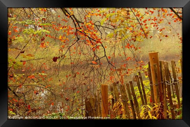 "AUTUMN MISTS AT THE RIVER SIDE" Framed Print by ROS RIDLEY
