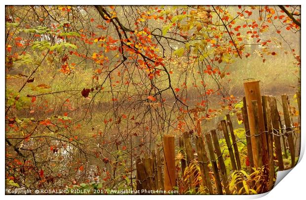 "AUTUMN MISTS AT THE RIVER SIDE" Print by ROS RIDLEY