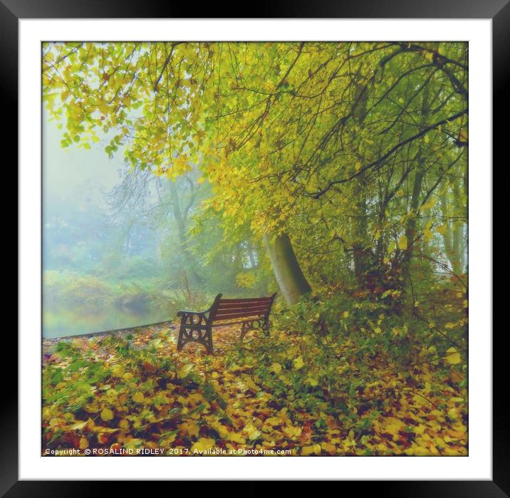 "SEAT AT THE MISTY LAKE SIDE" Framed Mounted Print by ROS RIDLEY