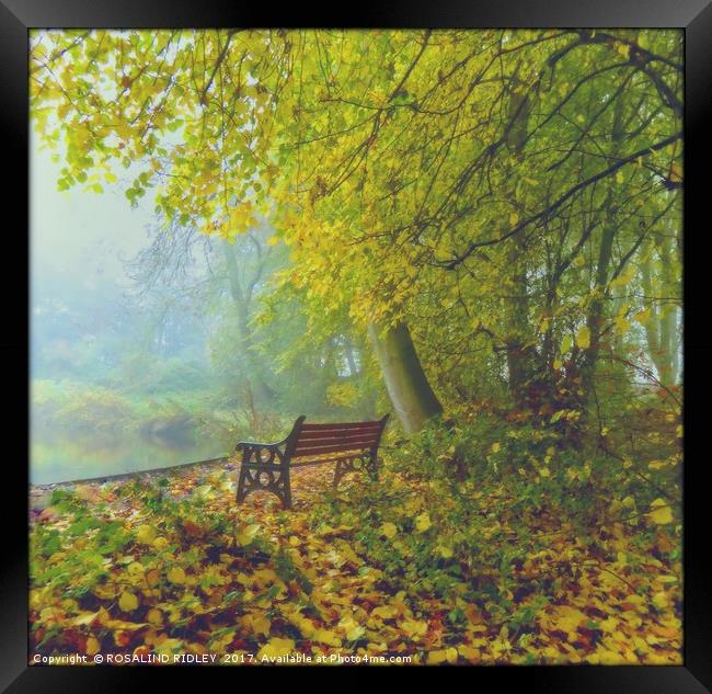 "SEAT AT THE MISTY LAKE SIDE" Framed Print by ROS RIDLEY
