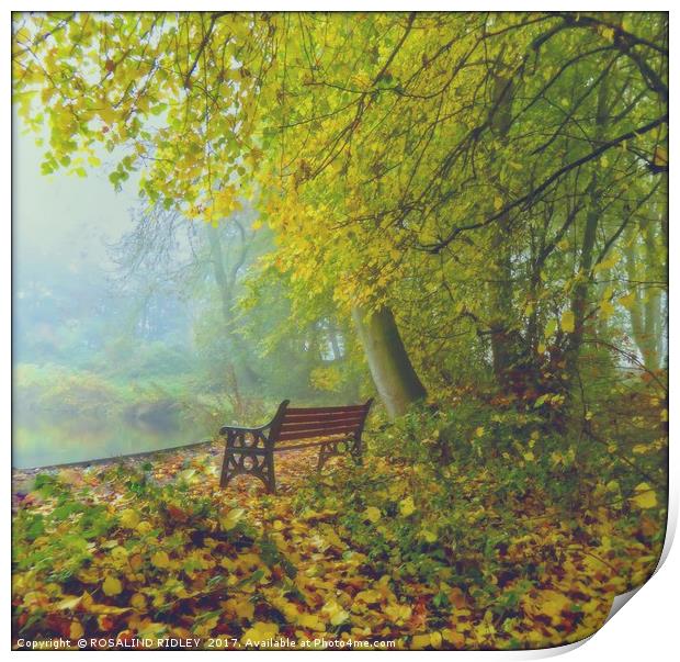 "SEAT AT THE MISTY LAKE SIDE" Print by ROS RIDLEY