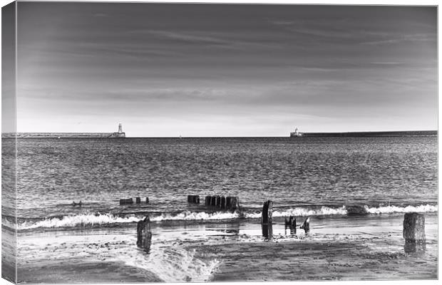 South Shields Piers Canvas Print by kevin wise
