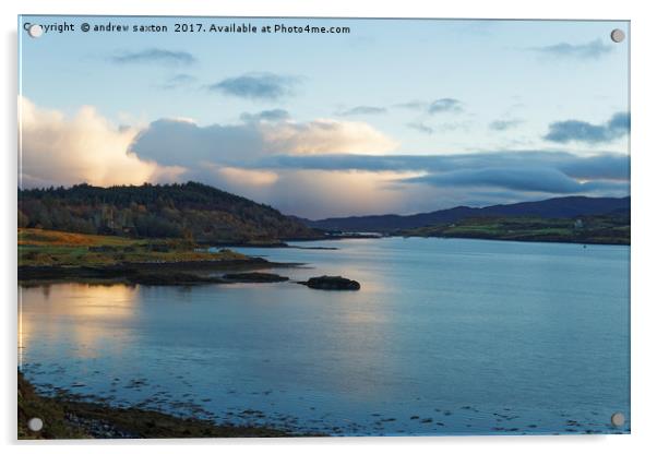 LOCH DUNVEGAN Acrylic by andrew saxton