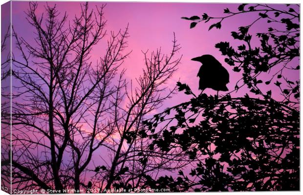 A Sunset to Crow Over. Canvas Print by Steve Whitham