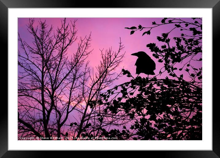 A Sunset to Crow Over. Framed Mounted Print by Steve Whitham