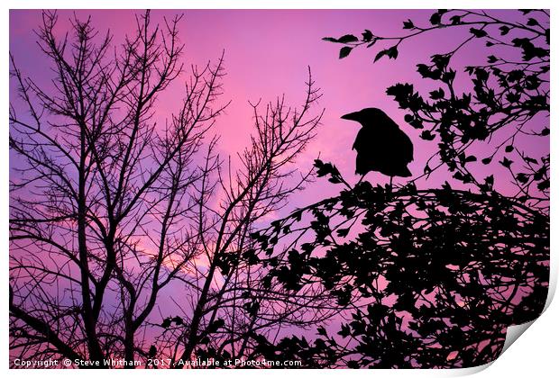 A Sunset to Crow Over. Print by Steve Whitham