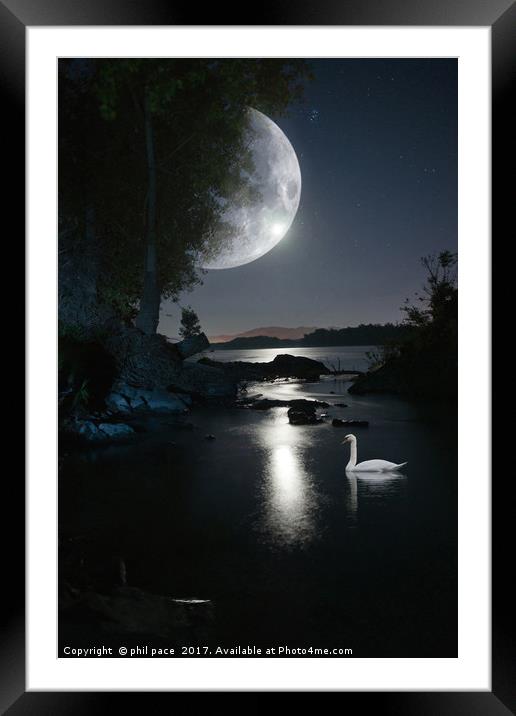 Midnight swim Framed Mounted Print by phil pace