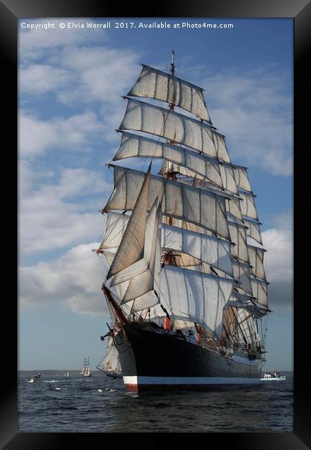 Russian Tall Ship STS Sedov Falmouth Race 2008 Framed Print by Elvia Worrall