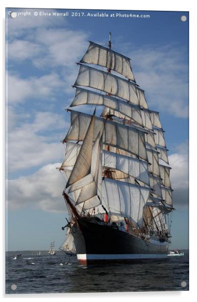 Russian Tall Ship STS Sedov Falmouth Race 2008 Acrylic by Elvia Worrall