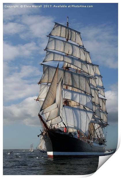 Russian Tall Ship STS Sedov Falmouth Race 2008 Print by Elvia Worrall