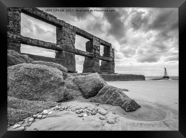 RYE HARBOUR WALL AT LOW TIDE Framed Print by Tony Sharp LRPS CPAGB