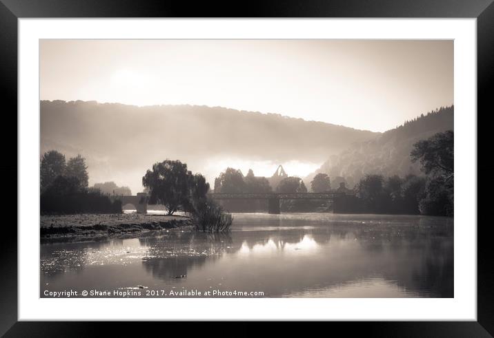 Tintern Abbey in the mist Framed Mounted Print by Shane Hopkins