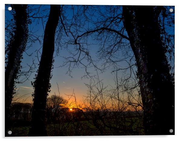 Boncath Sunset, Pembrokeshire, Wales, UK Acrylic by Mark Llewellyn