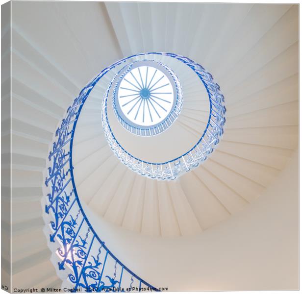 The Tulip Spiral Stairs - Queen's House, Greenwich Canvas Print by Milton Cogheil