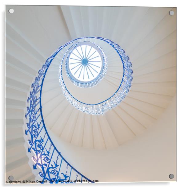 The Tulip Spiral Stairs - Queen's House, Greenwich Acrylic by Milton Cogheil