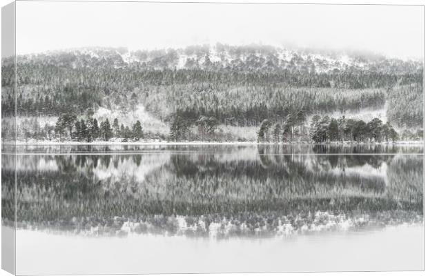 Winter Reflection Canvas Print by Sue MacCallum- Stewart