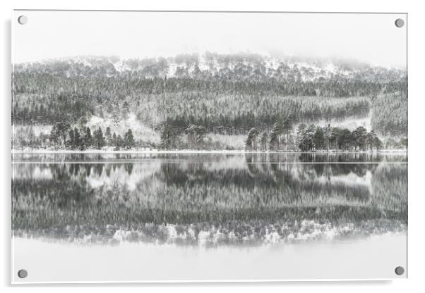 Winter Reflection Acrylic by Sue MacCallum- Stewart