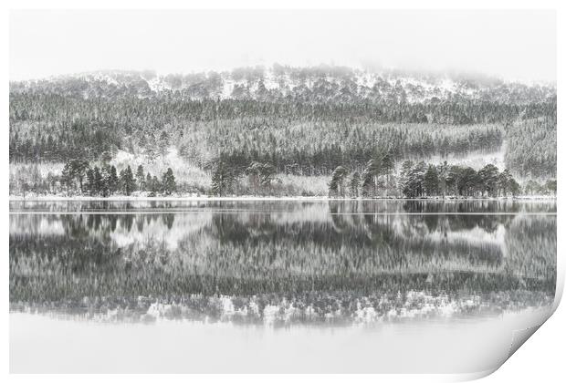Winter Reflection Print by Sue MacCallum- Stewart