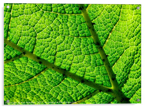 Leaf Mosaic Acrylic by Ann Mitchell
