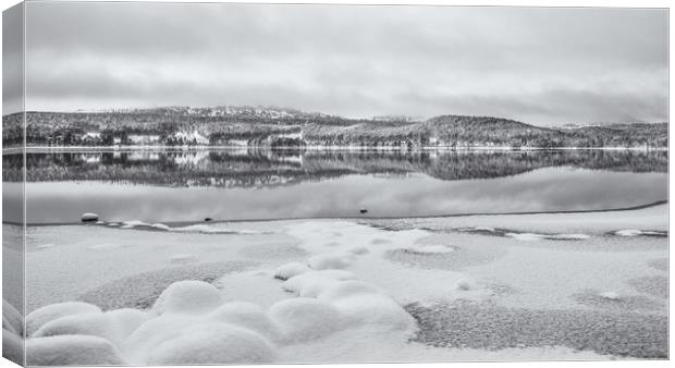 Reflections of Winter Canvas Print by Sue MacCallum- Stewart