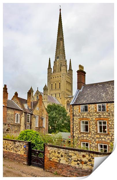 Norwich Cathedral Print by Darren Burroughs