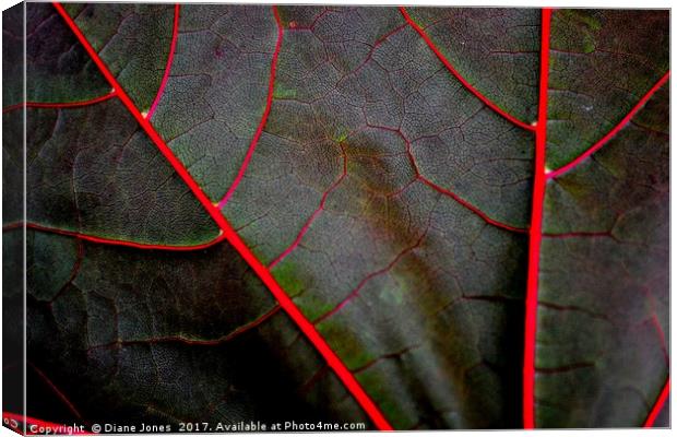 The veins of a Maple Leaf Canvas Print by Diane Jones