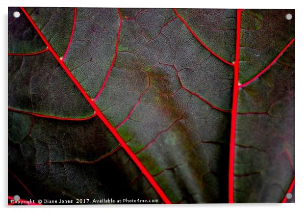 The veins of a Maple Leaf Acrylic by Diane Jones