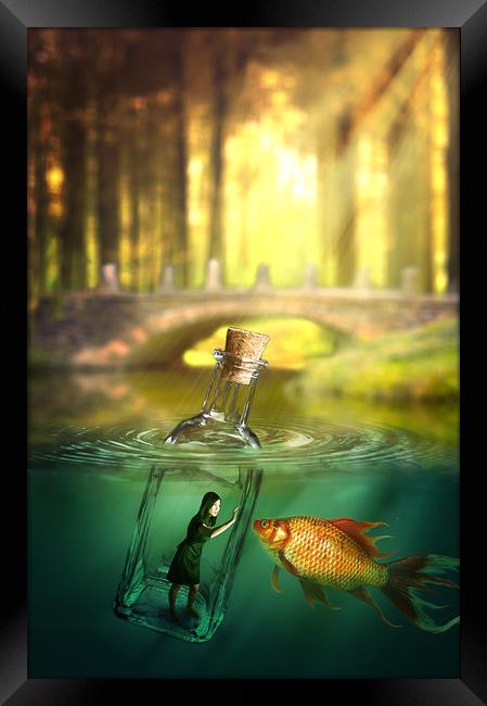 Message in a bottle Framed Print by Nathan Wright