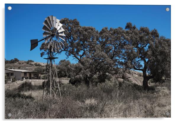 Windmill in Hot Summer Acrylic by Richard Zalan
