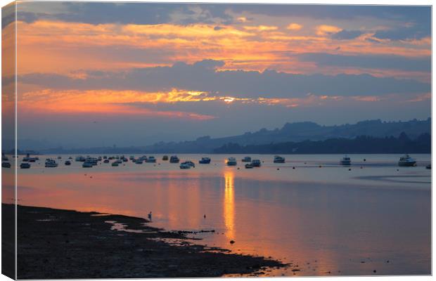 beautiful teign estuary sunset Canvas Print by kevin murch
