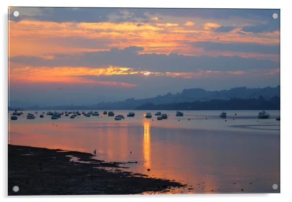 beautiful teign estuary sunset Acrylic by kevin murch