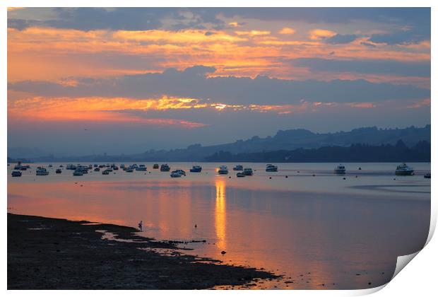 beautiful teign estuary sunset Print by kevin murch