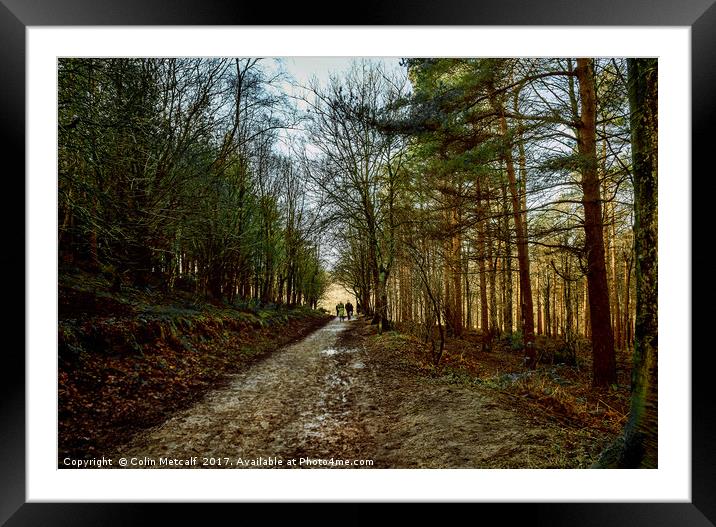 A Bit of a Muddy Walk Framed Mounted Print by Colin Metcalf