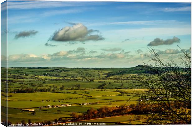 Across the Valley Canvas Print by Colin Metcalf