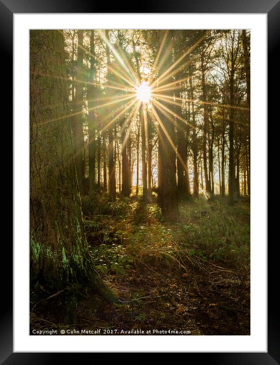 Sun Burst Framed Mounted Print by Colin Metcalf