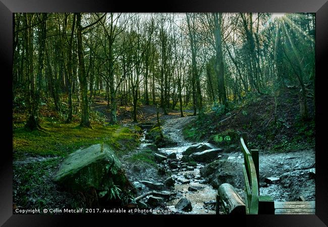 Woodland Stream Framed Print by Colin Metcalf