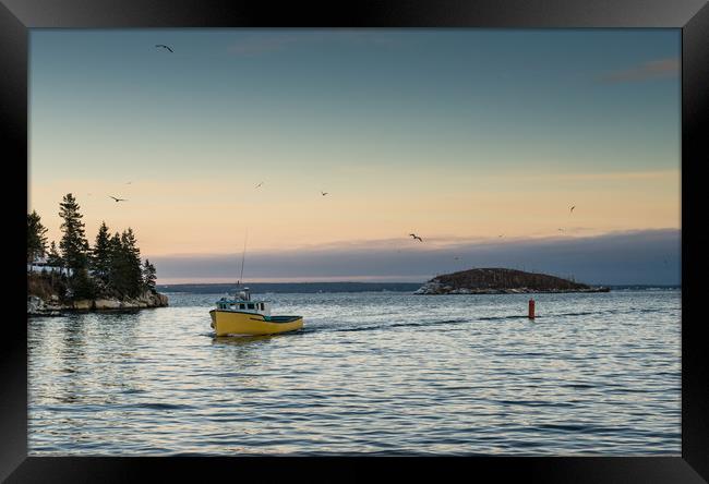 Northwest Cove coming back to port Framed Print by Roxane Bay