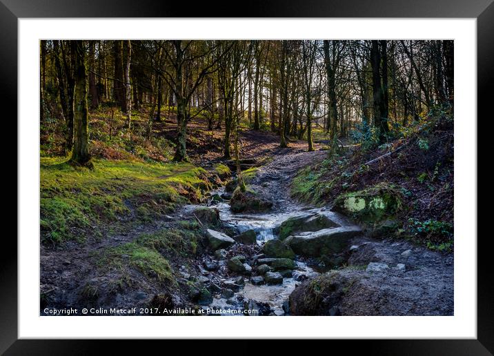 Woodland Stream Framed Mounted Print by Colin Metcalf