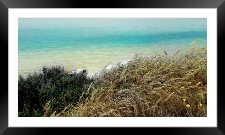 Nature  Framed Mounted Print by Louise Godwin