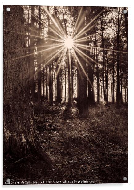 Sun Burst Acrylic by Colin Metcalf