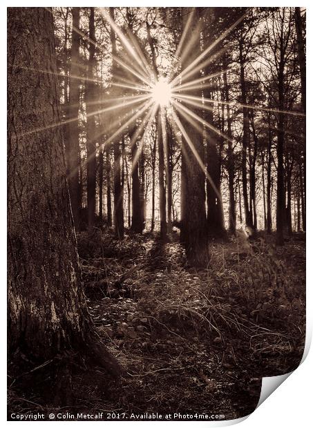 Sun Burst Print by Colin Metcalf