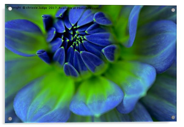 Blue  Dahlia Acrylic by Heaven's Gift xxx68